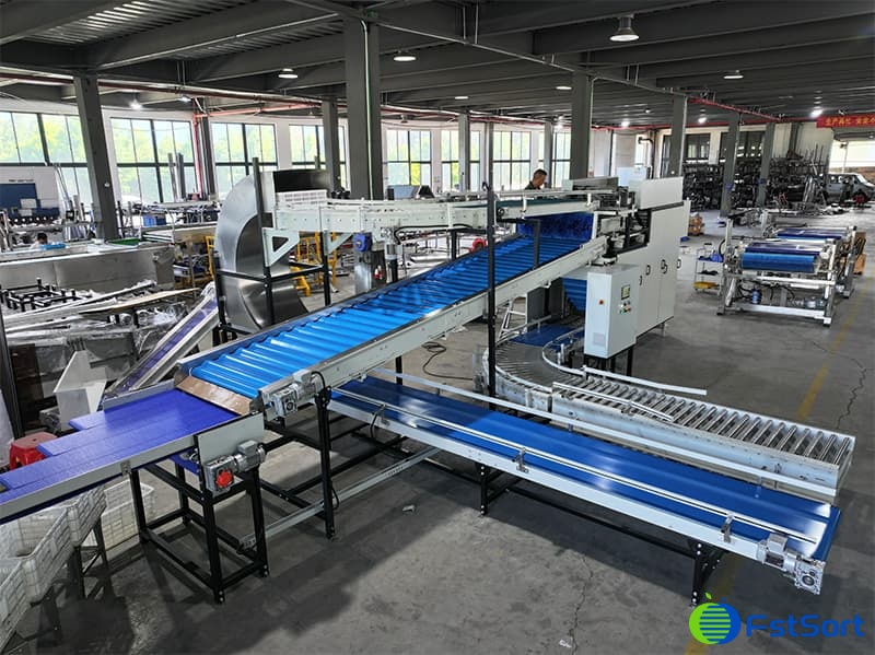 images/1751875757332fruit tipping machine.jpg